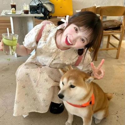 婚礼宾客